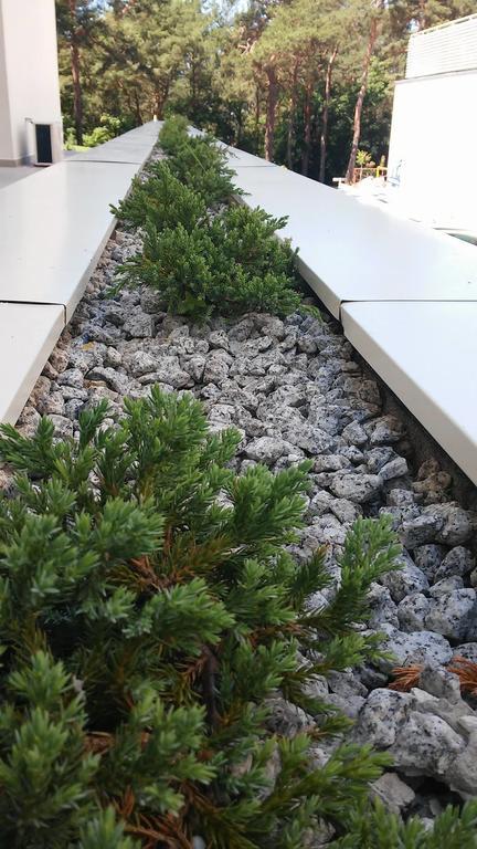 Holiday Home Loft Z Antresola I Balkonem Przy Plazy เมียนซิดดรอแย ภายนอก รูปภาพ